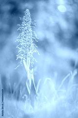 preview cold