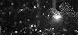preview bw