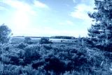 preview cold