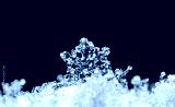preview cold