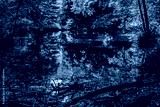 preview cold