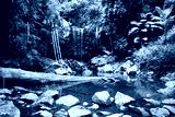 preview cold