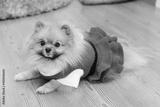 preview bw