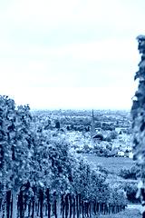 preview cold