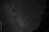 preview bw