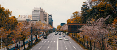 image to crop