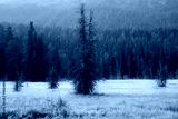 preview cold