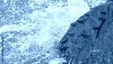 preview cold