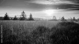 preview bw