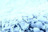 preview cold