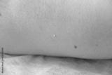 preview bw