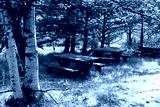 preview cold