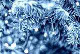 preview cold