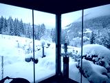 preview cold