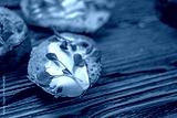 preview cold