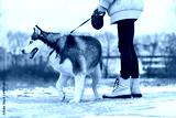 preview cold