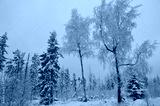 preview cold