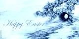 preview cold