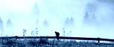 preview cold