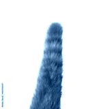 preview cold