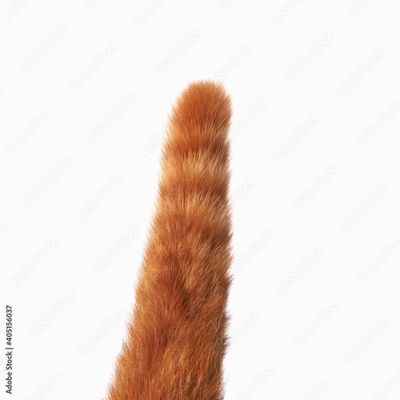 image to crop