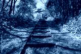 preview cold