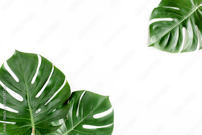 image to crop