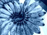 preview cold