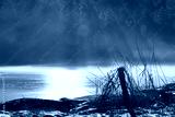 preview cold
