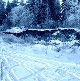 preview cold