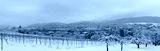 preview cold