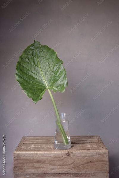 image to crop