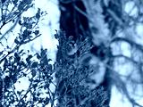 preview cold