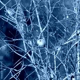 preview cold