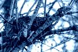 preview cold