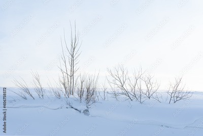 image to crop