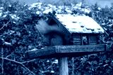 preview cold