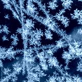 preview cold