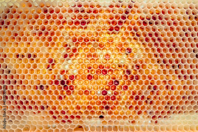 image to crop