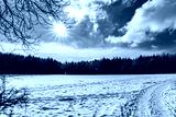 preview cold