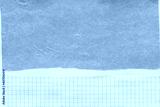 preview cold