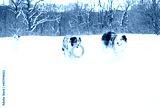 preview cold