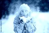 preview cold