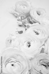 preview bw