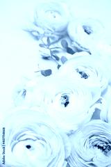 preview cold