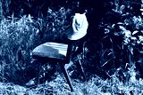 preview cold
