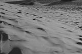 preview bw