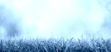 preview cold