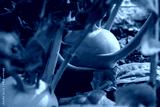 preview cold