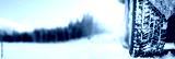 preview cold